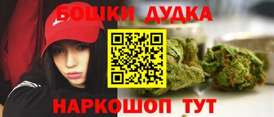 стаф Заводоуковск