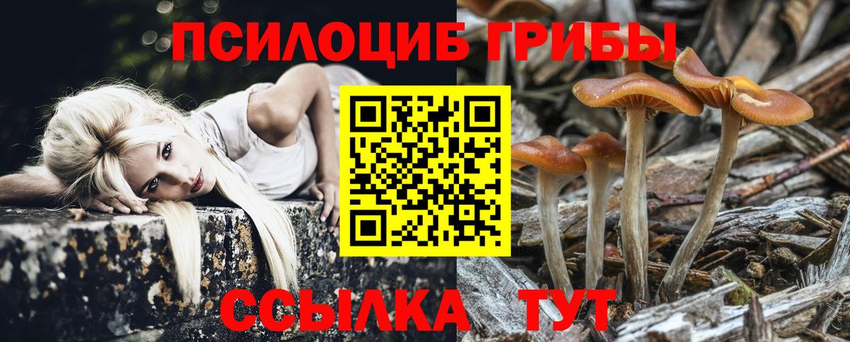 Галлюциногенные грибы мицелий  Псилоцибиновые грибы Psilocybe  Вход с VPN  Мирный 