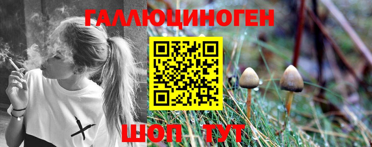 Псилоцибиновые грибы Psilocybine cubensis Мирный